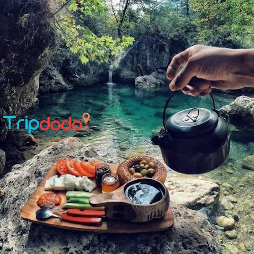 About Tripdodo – Trusted Travel & Tour Company in Raipur